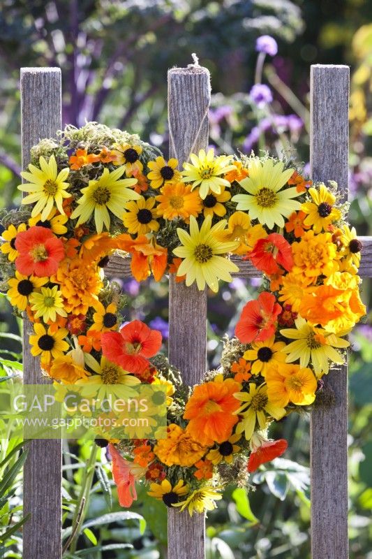 Summer wreath made of rudbeckia, nasturtium, sunflowers, pot and signet marigold hanging on fence.