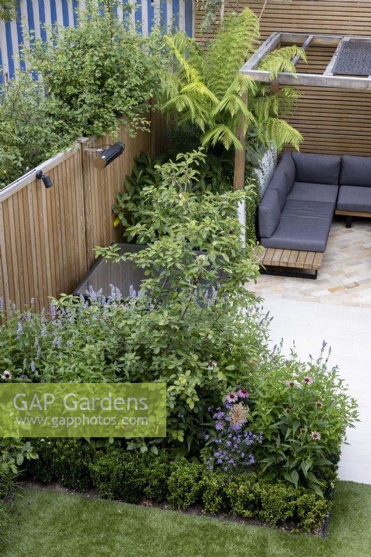 High view of secluded suburban garden with wood pergola