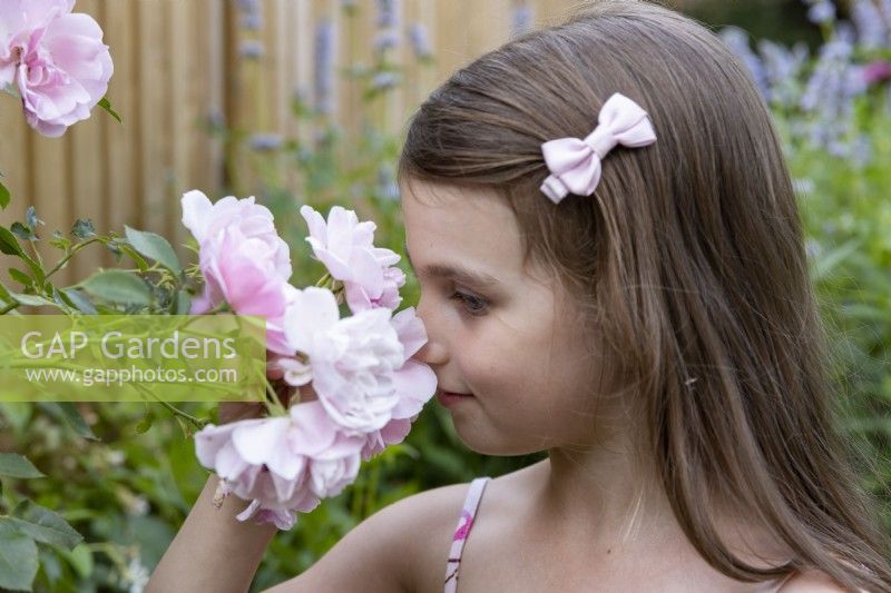 Young girl smelling roses in back garden