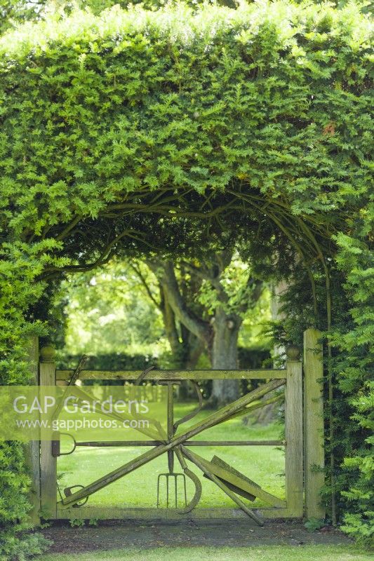 A rustic timber gate designed by George Carter to incorporate old garden tools and set within opening in a yew hedge. June.