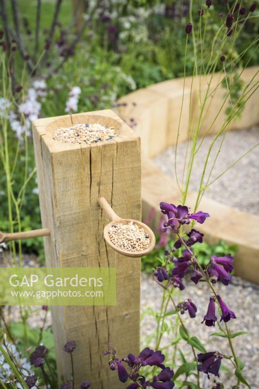 Wooden bird-feeder with apple among Sanguisorba and Calamagrosis grass in  The Wooden Spoon Garden, RHS Hampton Court Palace Garden Festival 2022