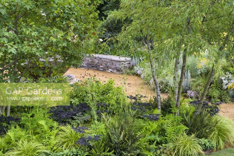 Stone seating area bordered by woodland planting of ferns, Epimedium and Carex grasses under  multi-stem trees in the RHS Planet-Friendly Garden at RHS Hampton Court Palace Garden Festival 2022