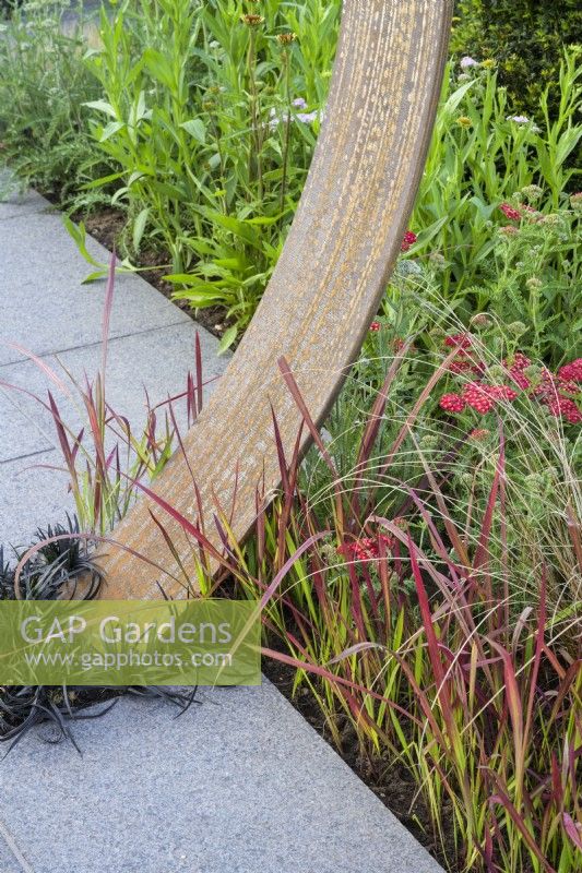 Planting of Ophiopogon and Imperata cylindrica 'Red Baron' grasses with Corten steel moongate detail - Sunburst Garden, RHS Hampton Court Palace Garden Festival 2022  