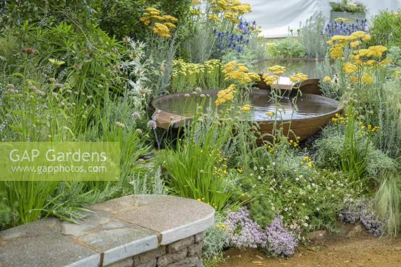 Achillea 'Terracotta' - Yarrow and herbaceous planting around two staggered Torc Pots Corten steel water bowls. The Daily Mail and RHS Planet-Friendly Garden, RHS Hampton Court Palace Garden Festival 2022. Designer: Mark Gregory