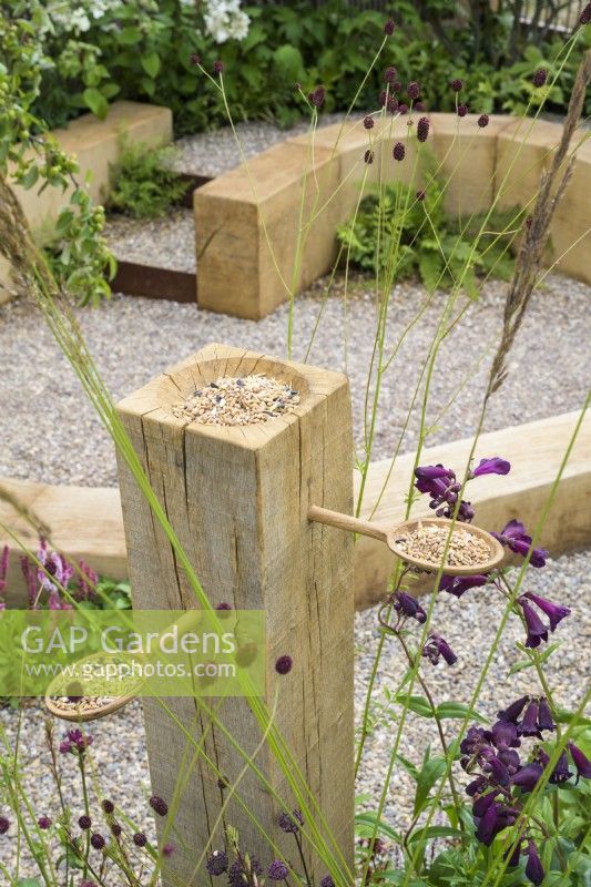 Wildlife area with wooden bird-feeder with seeds on spoons among perennials with Penstemon, Sanguisorba and Gaura in The Wooden Spoon Garden, RHS Hampton Court Palace Garden Festival 2022