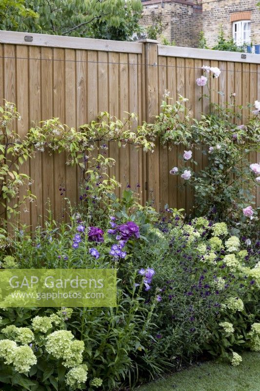 Contemporary boundary fence with herbaceous border