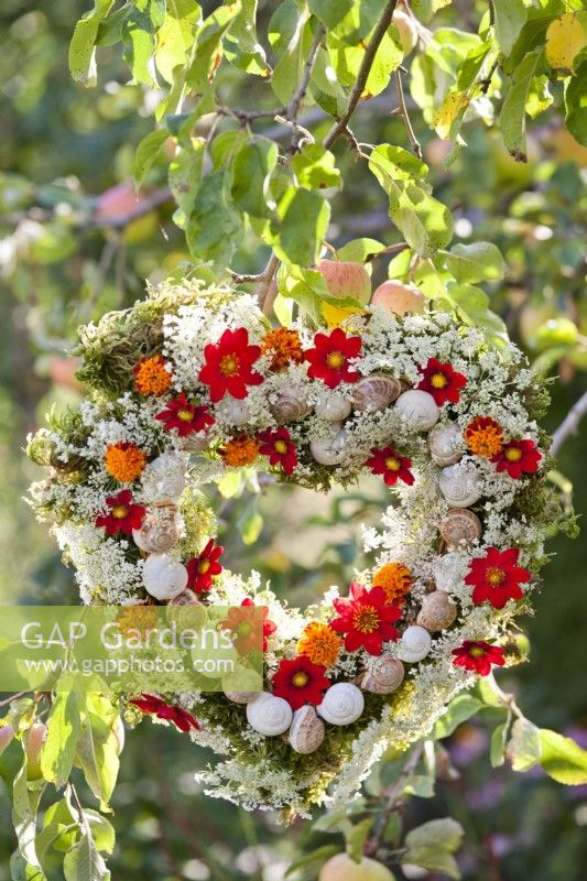 Heart shaped wreath made of snail shells, dahlia, French marigold and wild carrots hanging from the tree.