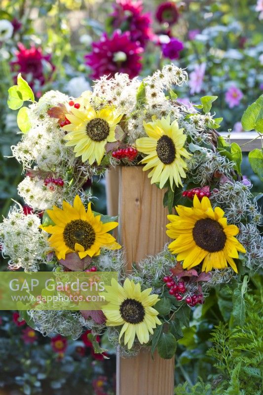 Floral wreath made of Clematis, sunflowers and rowan's berries hanging from the edge of the table.