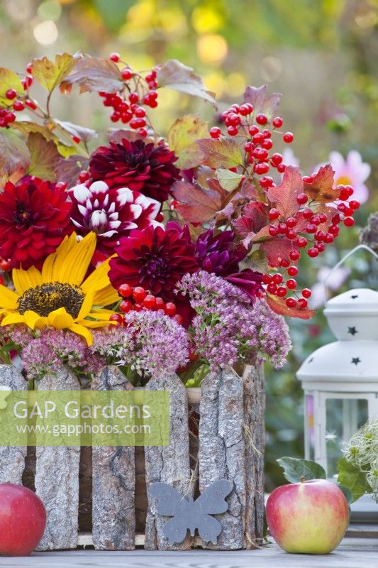 Late summer floral display with sunflowers, sedum, dahlias and guelder rose branches with berries on the table.