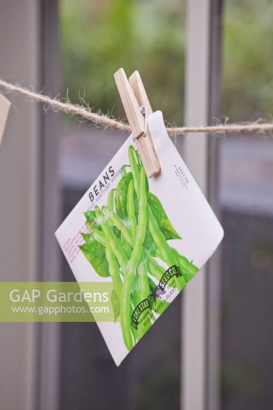 A bag of bean seeds tied to a string with a clothes peg.
