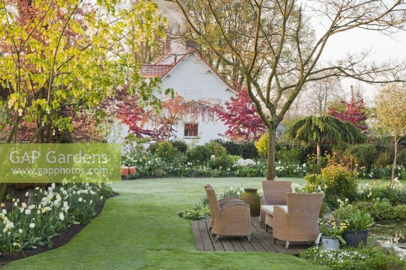 Spring garden with garden furniture on a  small decked patio and borders with tulips.