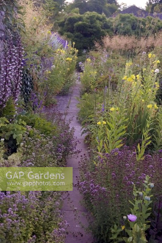 Walled garden in summer with path and Herbaceous plants at Marwood Hill Garden, Devon UK
