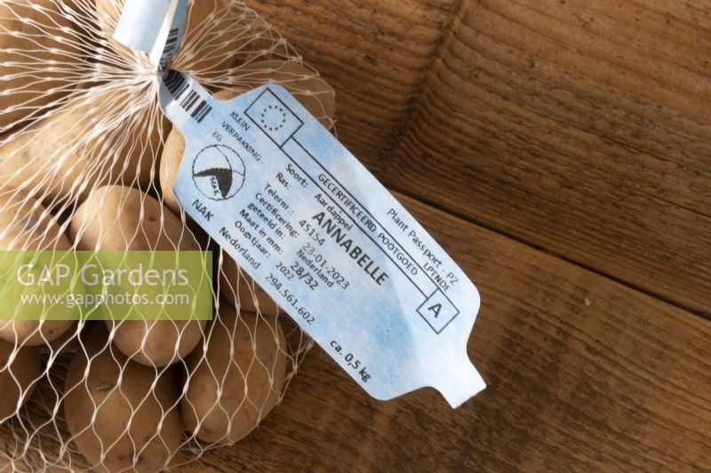 Dutch language EU plant passport label on a bag of seed potato's  'Annabelle' solanum tuberosum. Such certification is required for transportation in the EU of certain plants and seeds in order that the origins can be traced.