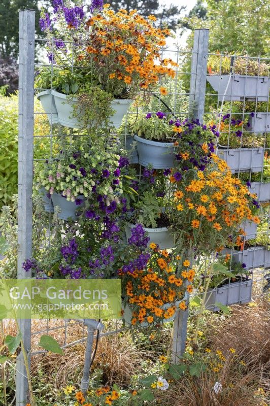 Trellis with pots and boxes as dividers, irrigation with drip hoses