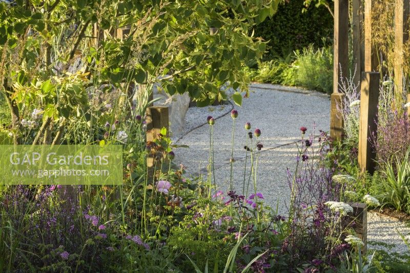 Winding gravel path with wooden edging through perennial mixed planting in A Journey, in Collaboration with Sue Ryder garden at RHS Hampton Court Palace Garden Festival 2022