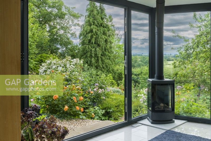 View, from contemporary house extension, across country garden towards distant countryside. Roses including 'Lady of Shalott', 'Queen of Sweden', 'Mary Delany' and 'Rambling Rector'. Conifer and deciduous trees. June