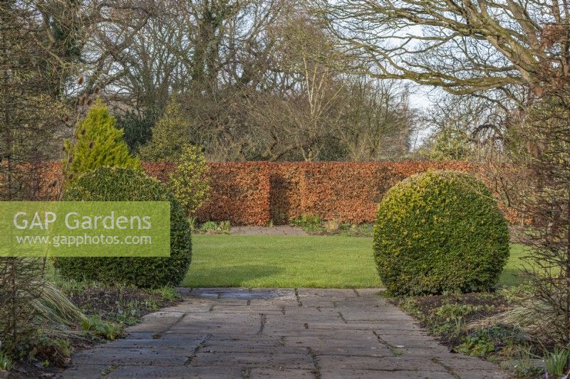 View of a formal country cottage garden lawn and stone path in Winter - February