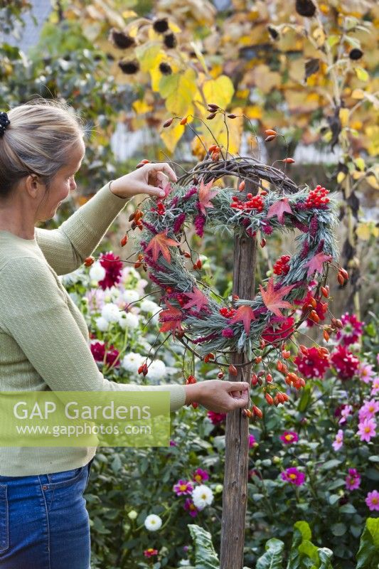 Autumn wreath made of rose hips, Liquidambar, lavender and guelder rose berries.