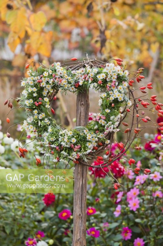 Heart shaped wreath made of aster, rose hips and spindle berries hanging from wood post.
