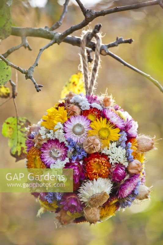 Floral sphere containing straw flower, statice and love in a mist hanging from the tree.