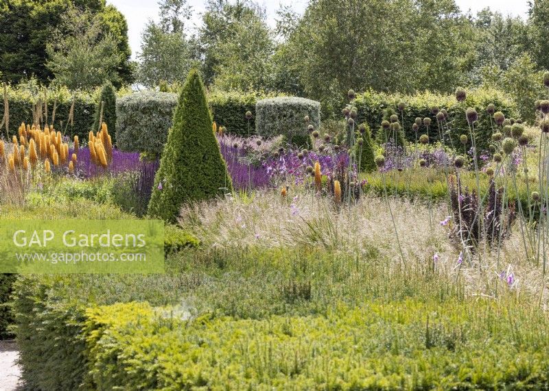 Colourful perennial garden with topiary, summer June