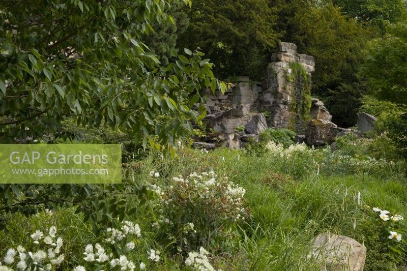 A waterfall over Wellington Rock surrounded by Zelkova serrata, grasses and white flowers in Paxton's Rock Garden at Chatsworth House and Garden.