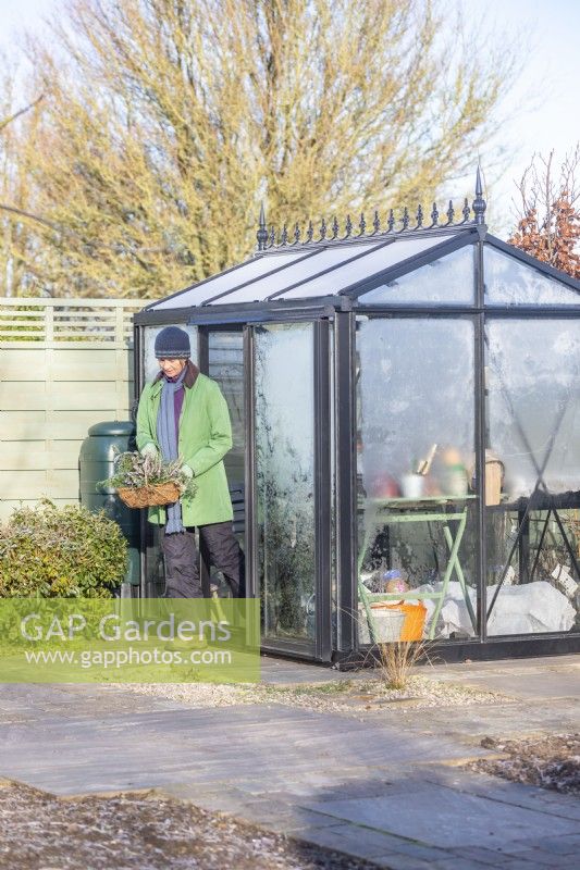 Woman carrying basket of plants out of greenhouse
