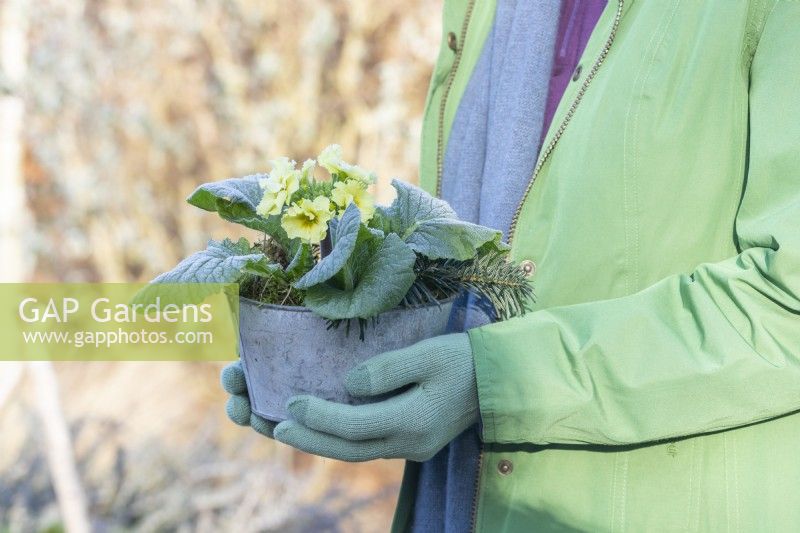 Woman holding small metal container planted with yellow primroses