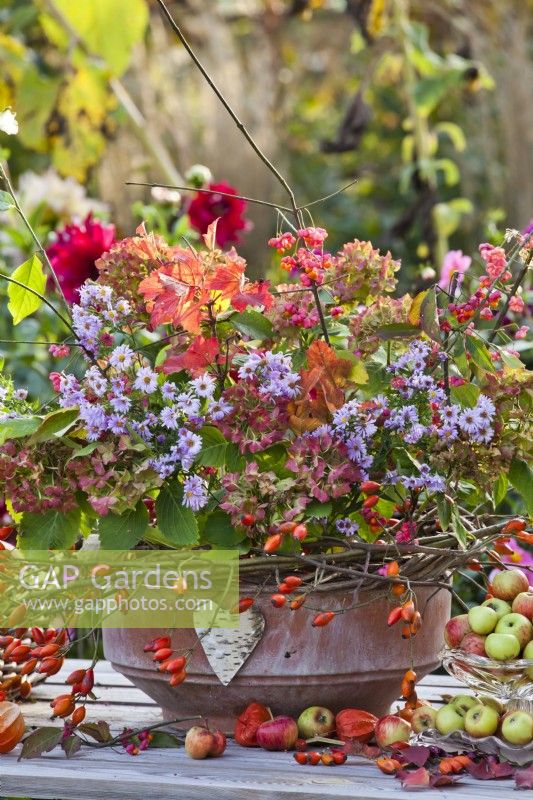 Terracotta pot decorated with rose hip wreath and filled with hydrangea, asters, guelder rose and euonymus.