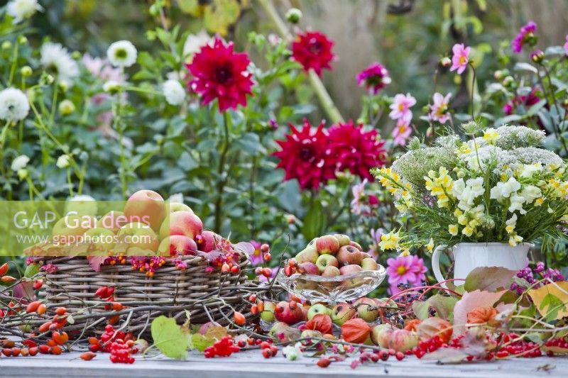 Outdoor table arrangements with harvested apples and bouquet of Antirrhium.