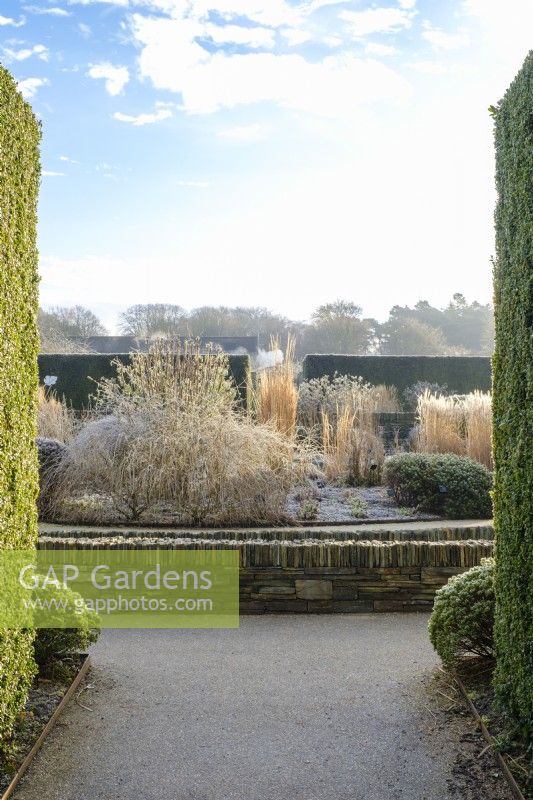Winter garden with foliage and grasses, strong design of walls built in stone and water rills between.