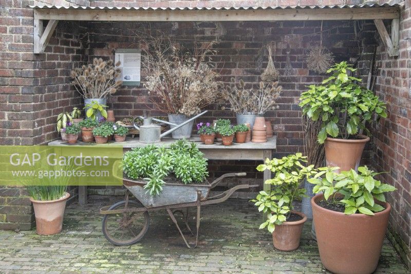 Display using old wheelbarrow, pots, dried flowers and watering cans, at Winterbourne Botanic Garden, March