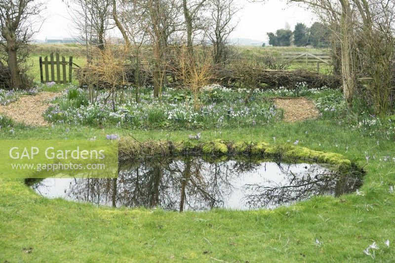 Overview of spring garden round pond and borders filled with crocus and snowdrops.