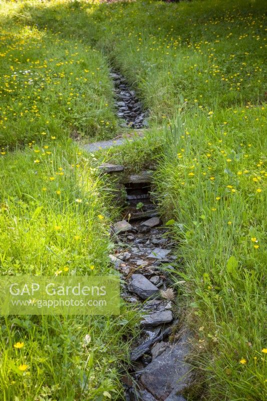 Stream running through a wild meadow area with buttercups and long grass at The Garden House