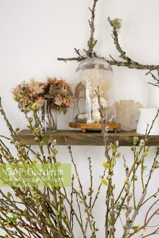 Cut stems of pussy willows plus shelf of dried flowers and ornaments