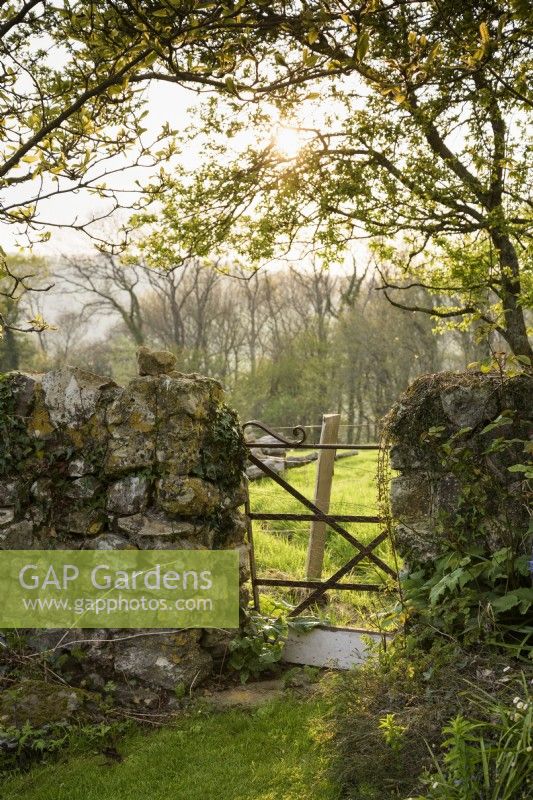 Gate leading from the garden into a surrounding field on an April evening