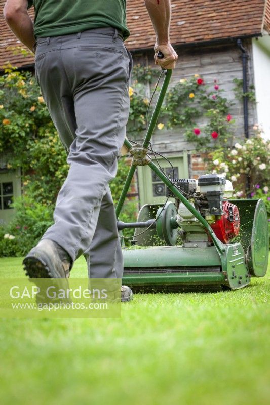Mowing the lawn with an old fashioned petrol cylinder mower in readiness for Blewbury NGS Gardens Open