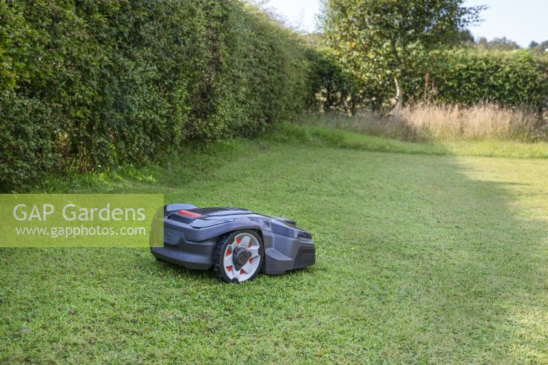 Husqvarna Automower 410X mows a country garden lawn