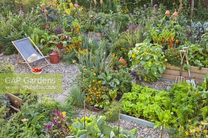 Deckchair on gravel and raised beds with growing crops in kitchen garden.