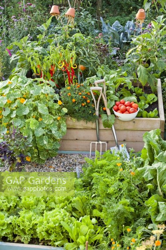 Kitchen garden with raised beds full of growing crops.