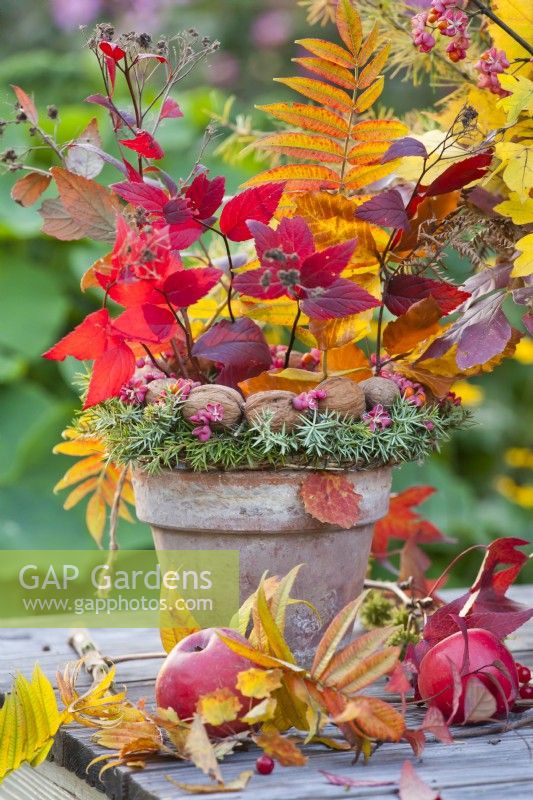Autumn leaf bouquet and wreath in terracotta pot.