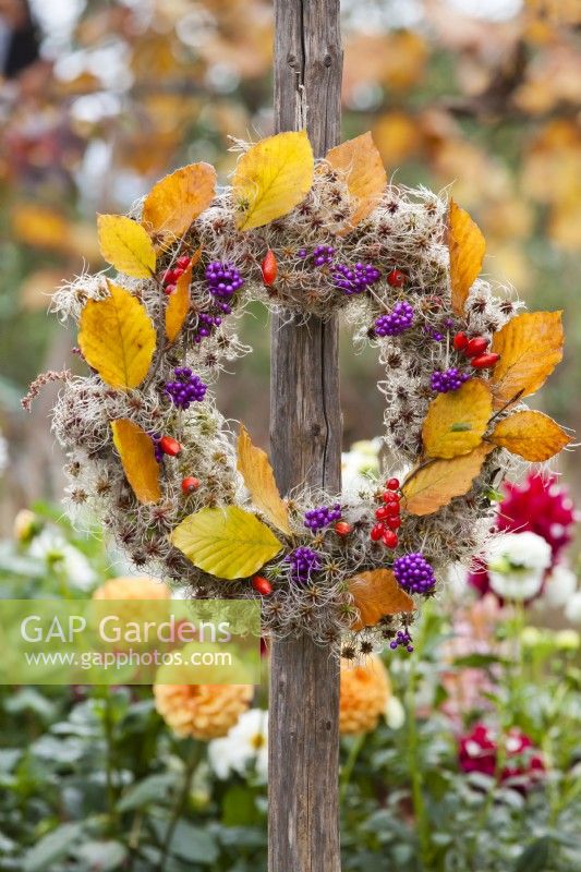 Autumnal wreath made from Clematis, Callicarpa, Rosehips and Guelder rose berries on wood pole.