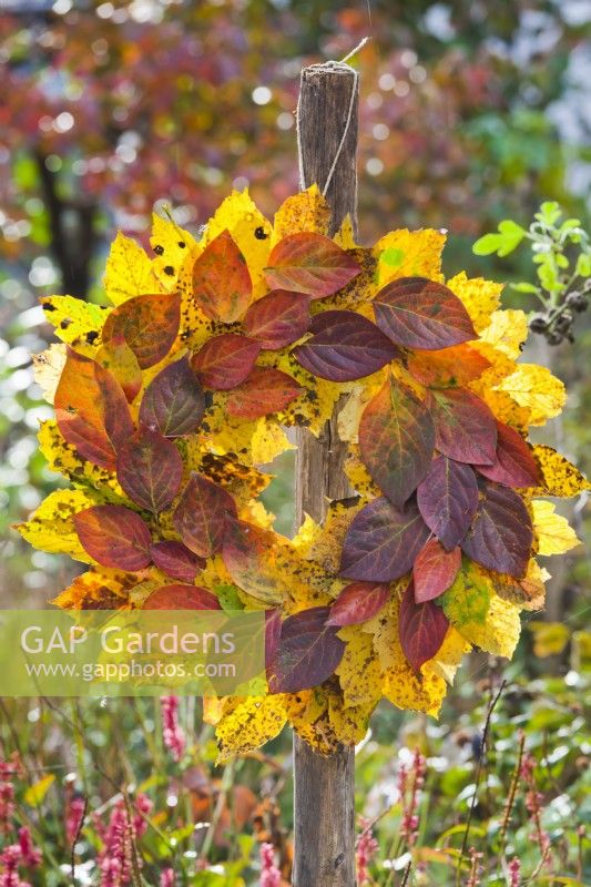 Autumnal leaf wreath. hanging from wood post.