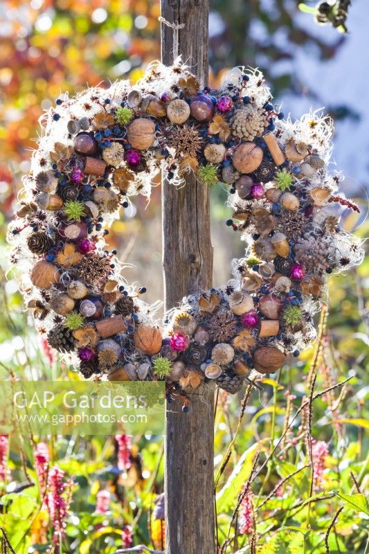 Wreath made from various nuts, berries, poppy seedheads and cones.