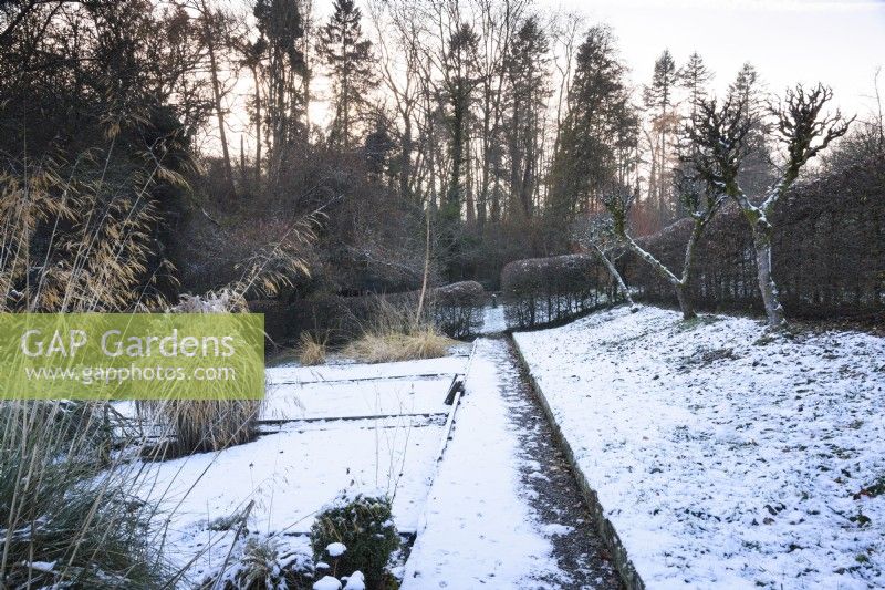 Path through a snowy vegetable garden in December.
