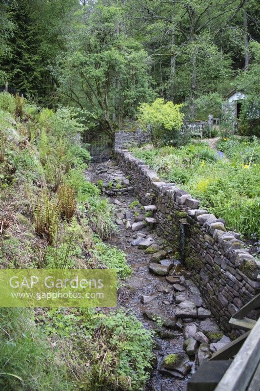 Stream and drystone wall running through the garden. May. 