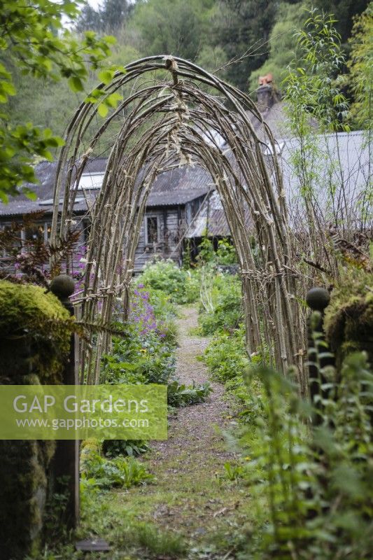 Arch of hazel poles over path to support plants in the potager. May. 