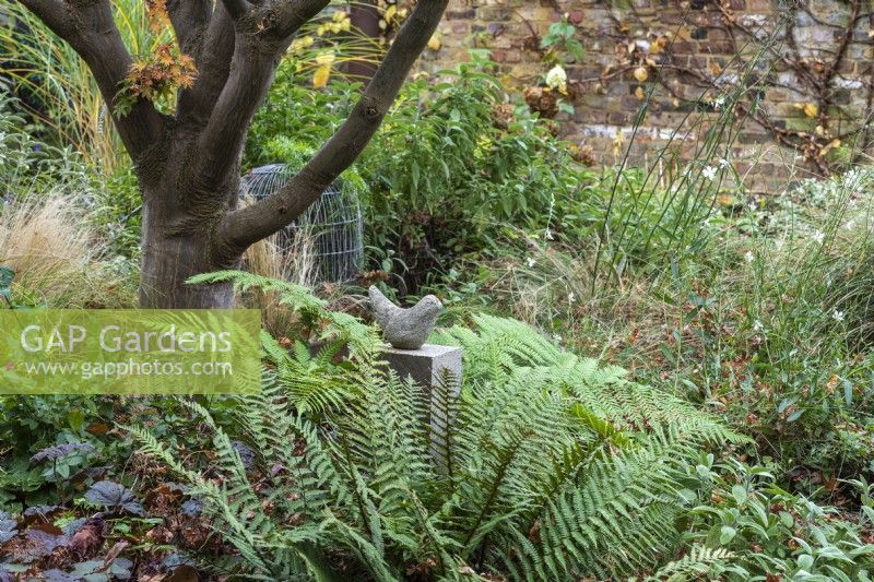 A small stone dove is raised on a plinth amongst ferns, at the feet of a Japanese maple.
