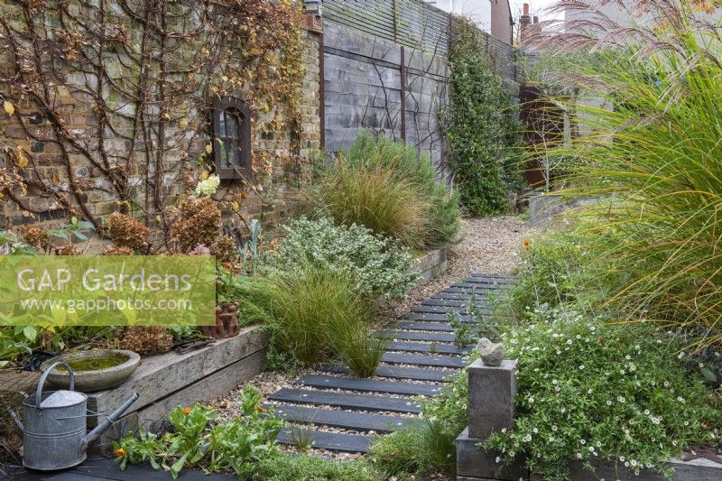A path is made from wood off-cuts left over from laying the wooden decks, fixed at equal intervals beneath the gravel. To the left, a raised bed contains pheasant tail grass, euonymus, hydrangea and rosemary. Climbing hydrangea is trained up the wall.