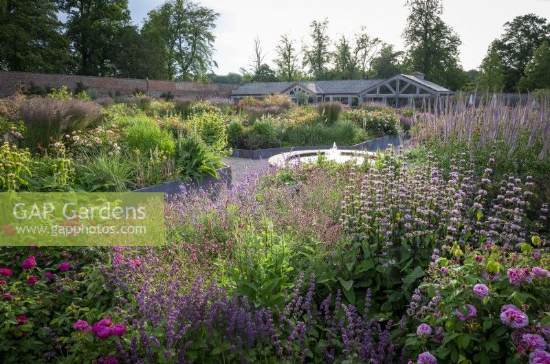 General view of the rose garden at Wynyard Hall. Mixed planting includes roses, sanguisorba, catmint, phlomis and foxgloves. Circular stone fountain focal point